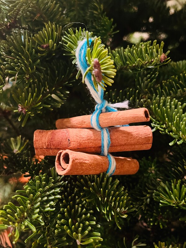 Eco-Friendly Holiday Ornament with Cinnamon Sticks